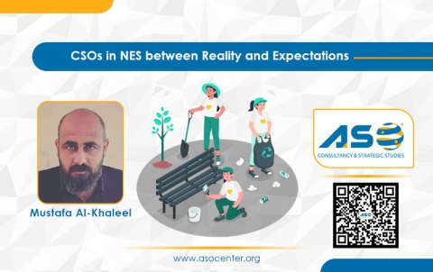 CSOs in NES Between Reality and Expectations 