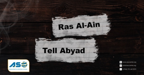 A Letter to the United Nations and International Organizations On the Passage of One-Year of the Occupation of SereKaniye / Ras Al-Ain and Gire Spi/ Tal Abyad
