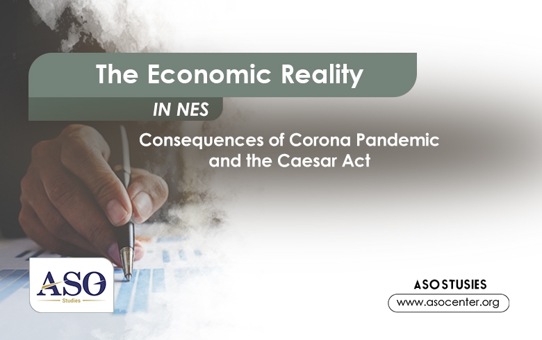 The Economic Reality in NES (Consequences of Corona Pandemic and Caesar Act)
