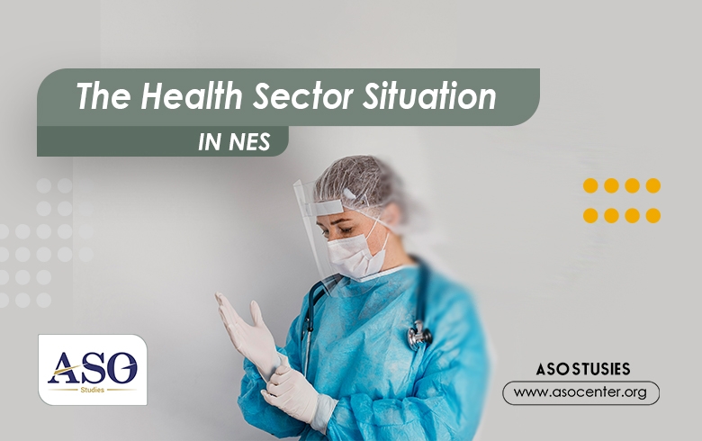 The Health Sector Situation in NES