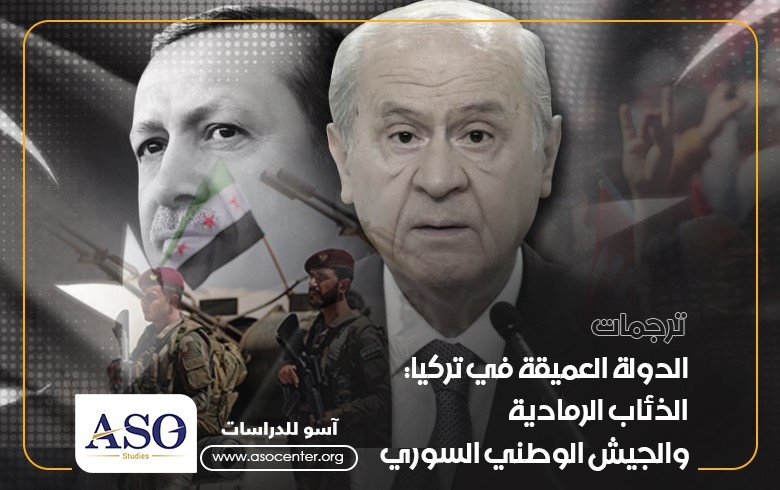 الدولة العميقة في تركيا...الذئاب الرمادية والجيش الوطني السوري